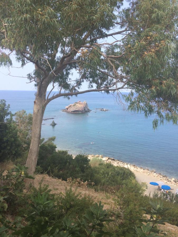 Andromeda Beach House Πόλη Εξωτερικό φωτογραφία